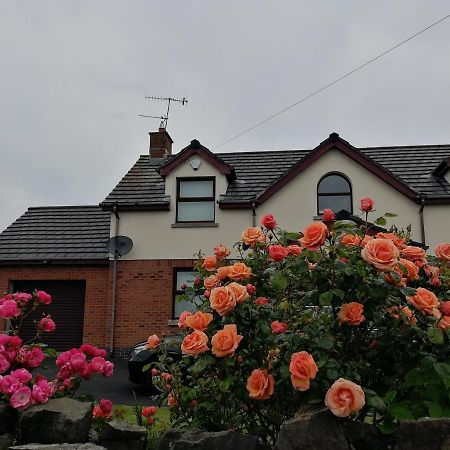 Fox Heaven B&B Carrickfergus Extérieur photo