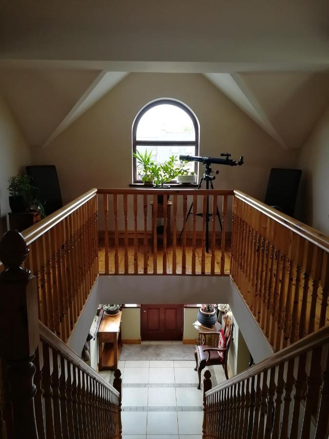 Fox Heaven B&B Carrickfergus Extérieur photo
